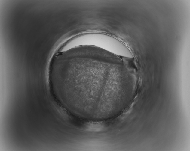 X0000095960296200802011127