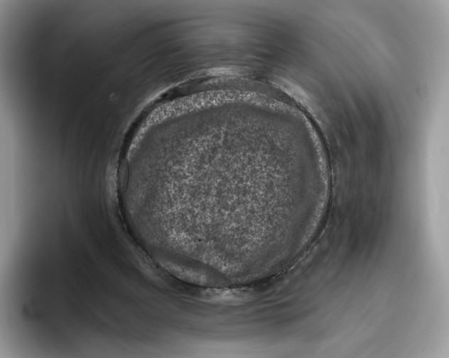 X0000095960297200802011127