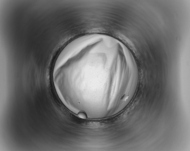 X0000095960298200802011127