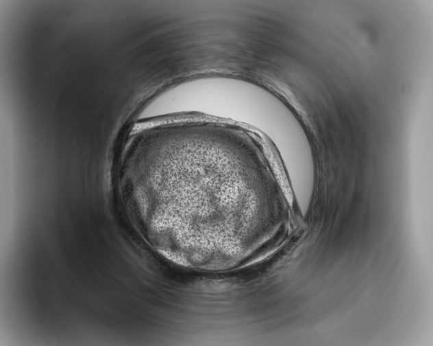 X0000095960299200802011127