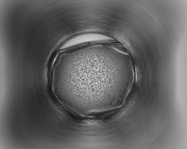 X0000095960300200802011127