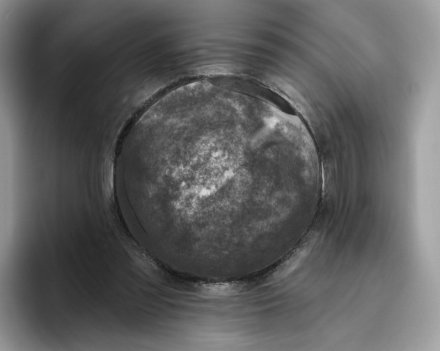 X0000095960301200802011127