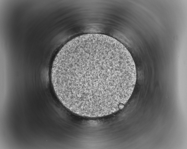 X0000095960302200802011127