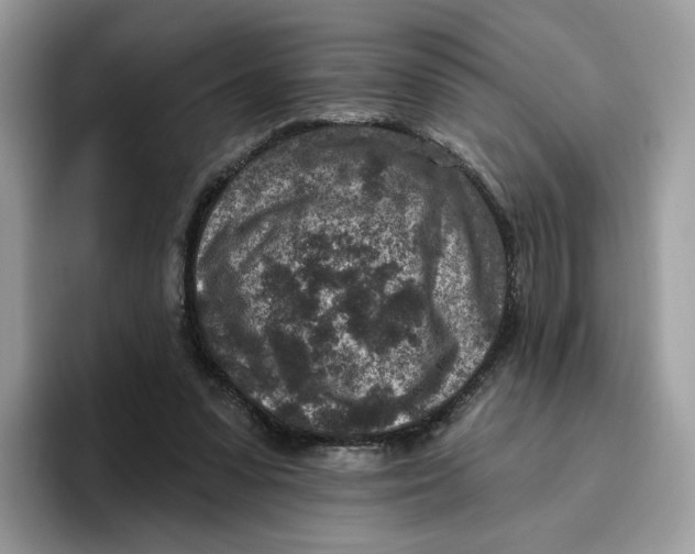 X0000095960303200802011127