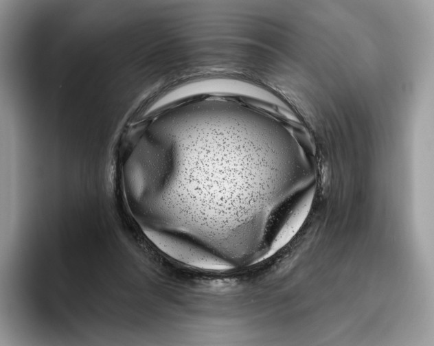 X0000095960304200802011127