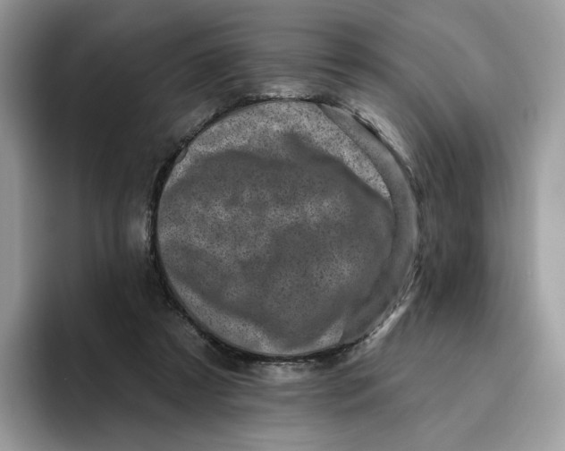 X0000095960305200802011127