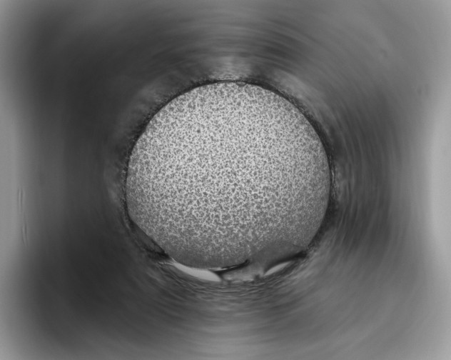 X0000095960307200802011127