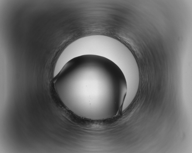 X0000095960308200802011127