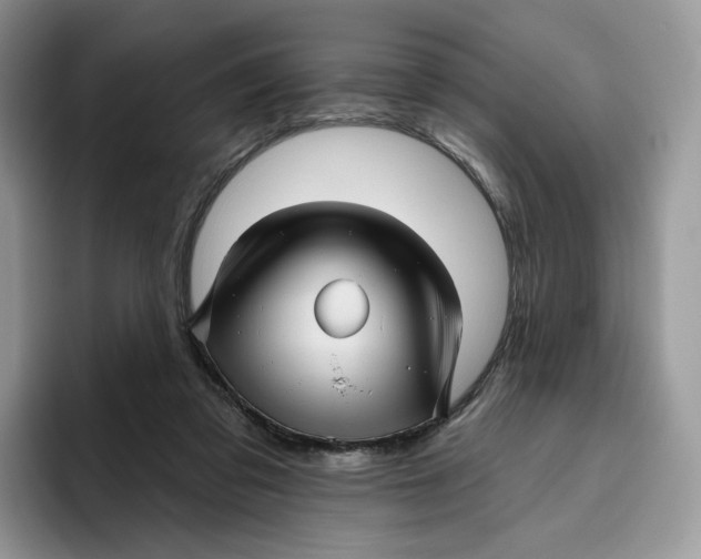 X0000095960309200802011127