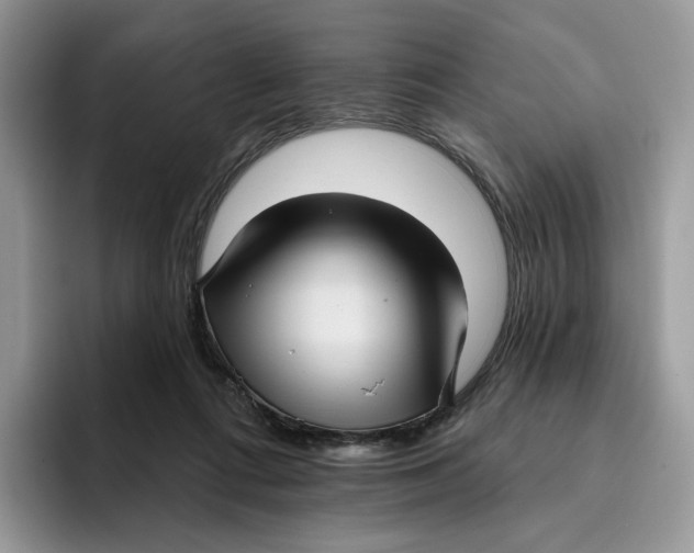 X0000095960312200802011127