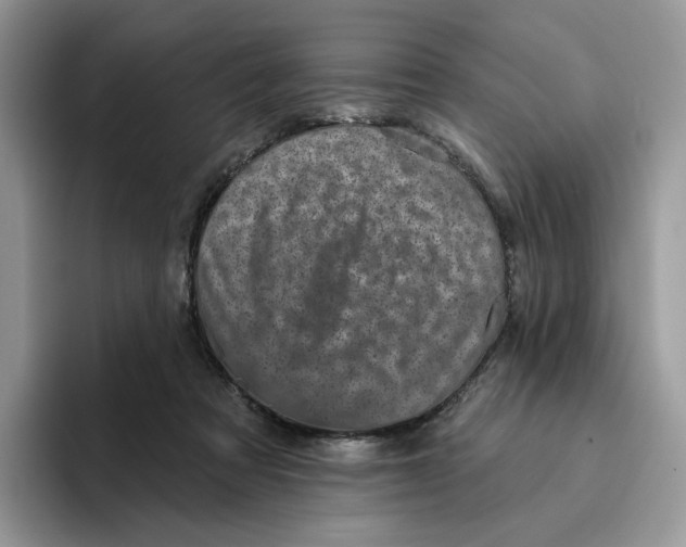 X0000095960313200802011127