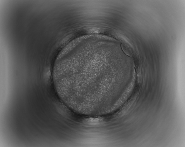 X0000095960314200802011127