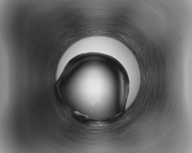 X0000095960316200802011127