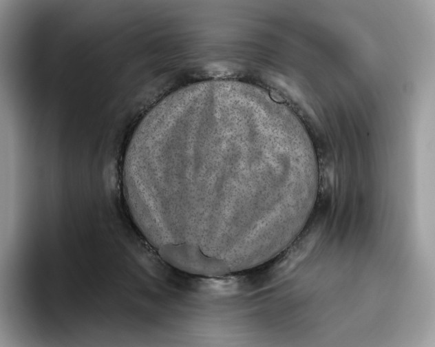 X0000095960317200802011127