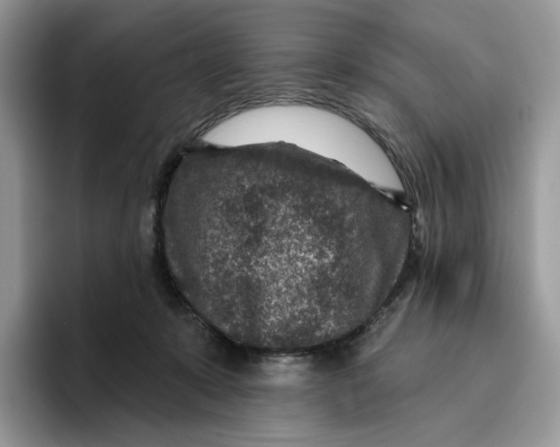 X0000095960319200802011127