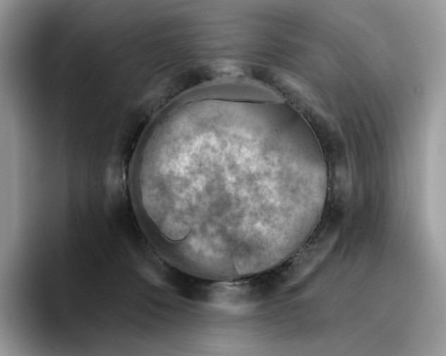 X0000095960320200802011127