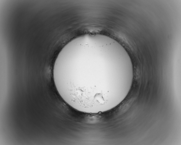 X0000095960321200802011127