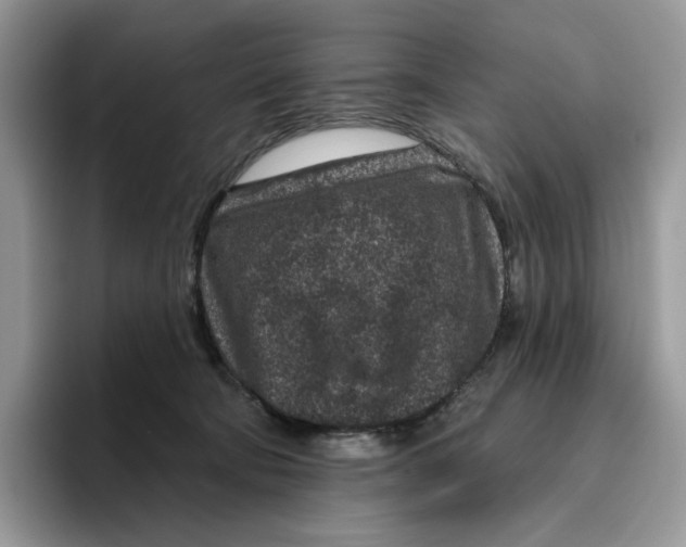 X0000095960322200802011127