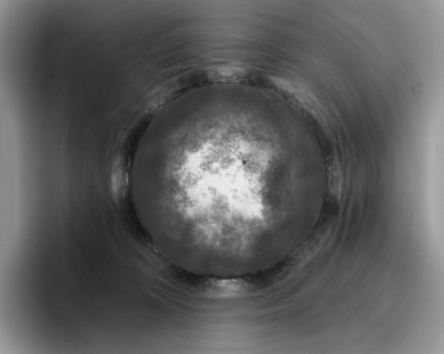 X0000095960324200802011127