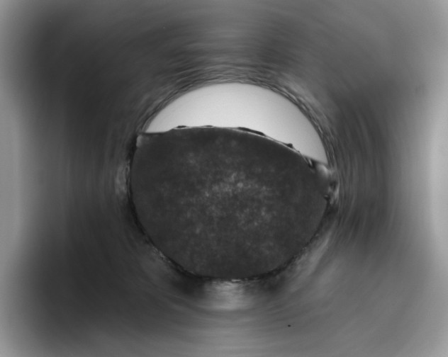 X0000095960325200802011127