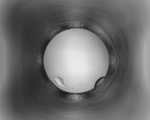 X0000095960326200802011127