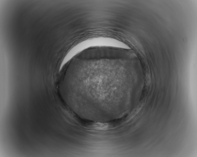 X0000095960328200802011127