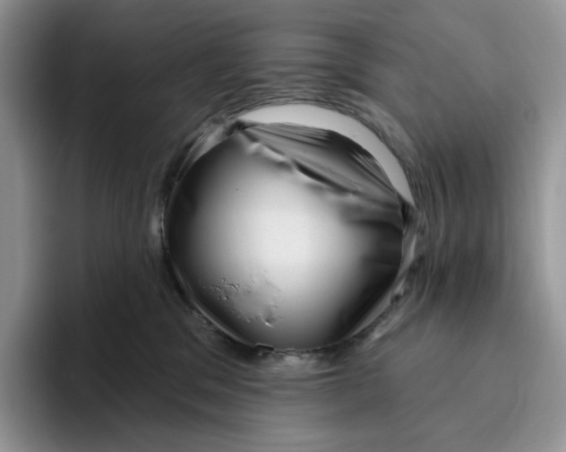 X0000095960329200802011127