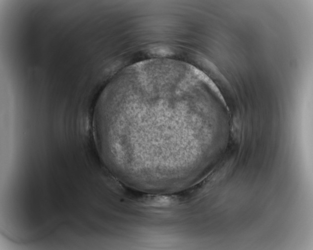 X0000095960330200802011127