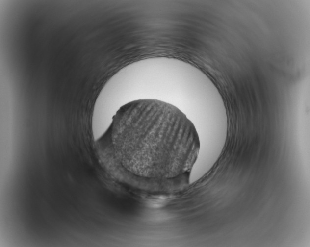 X0000095960331200802011127