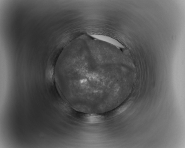 X0000095960336200802011127