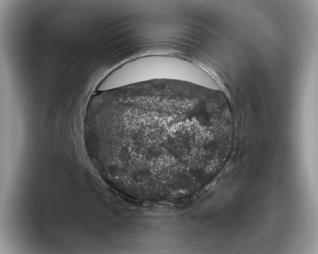 X0000095960337200802011126