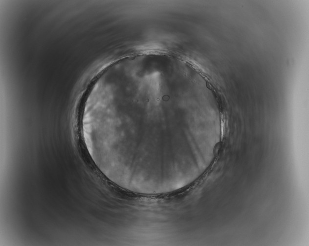 X0000095960339200802011126