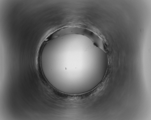 X0000095960340200802011126