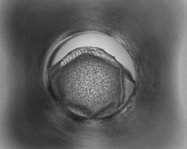 X0000095960343200802011126