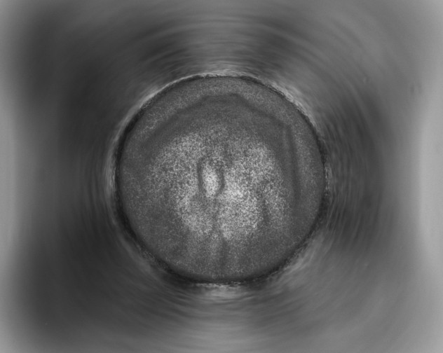 X0000095960347200802011126