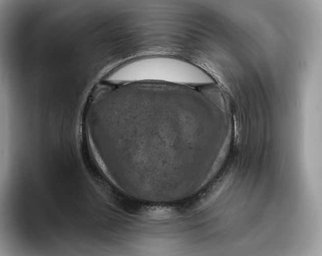 X0000095960348200802011126