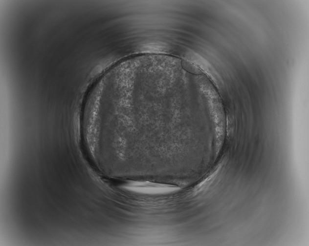 X0000095960349200802011126