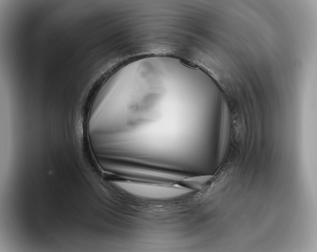 X0000095960350200802011126