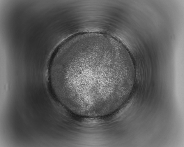 X0000095960351200802011126