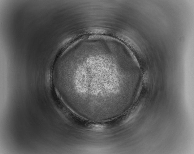 X0000095960352200802011126