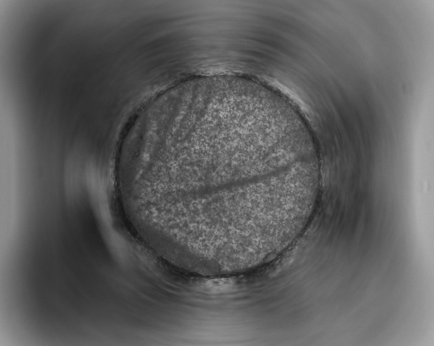 X0000095960353200802011126