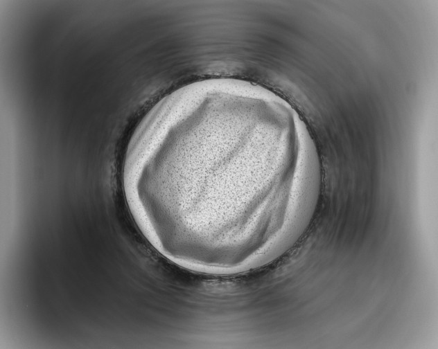 X0000095960354200802011126