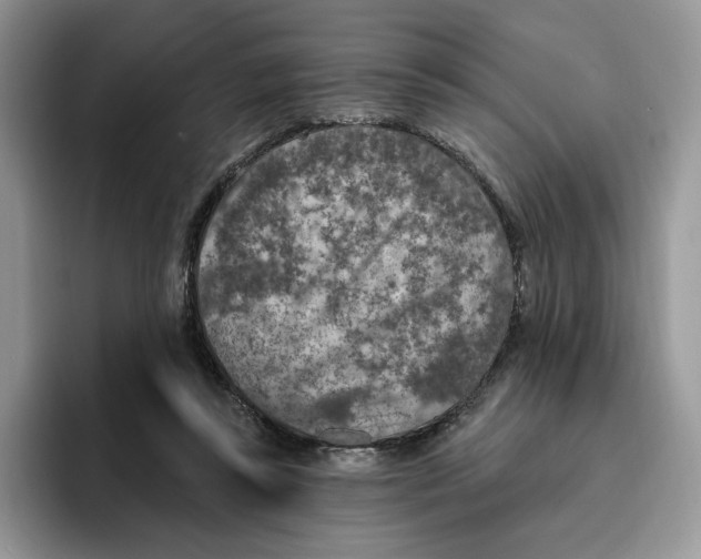 X0000095960355200802011126