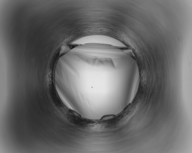 X0000095960356200802011126