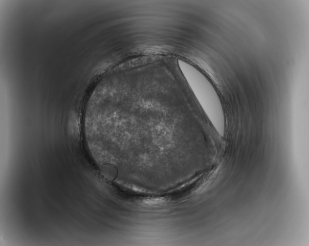 X0000095960357200802011126