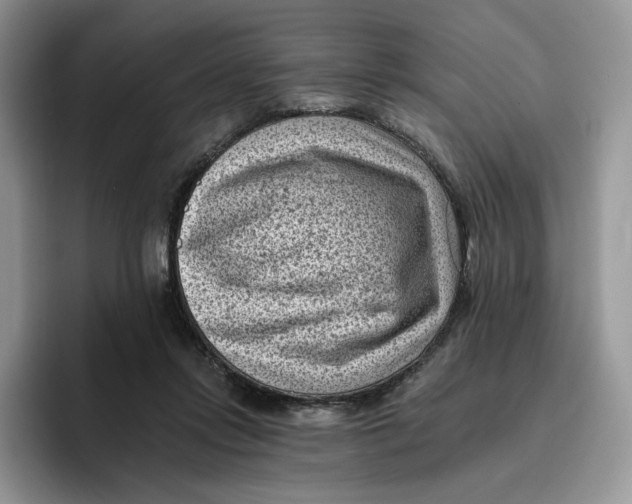 X0000095960358200802011126