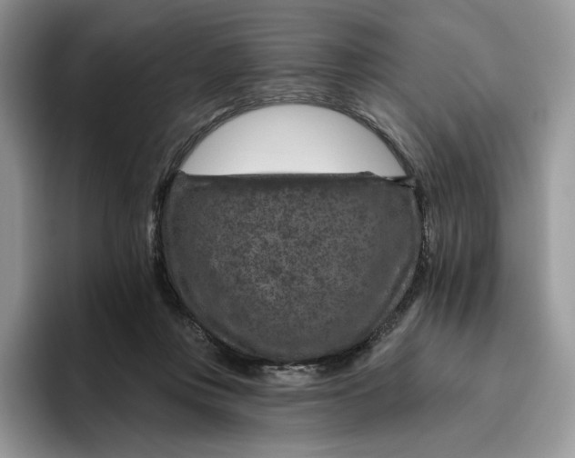 X0000095960359200802011126