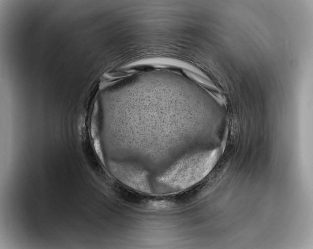 X0000095960360200802011126