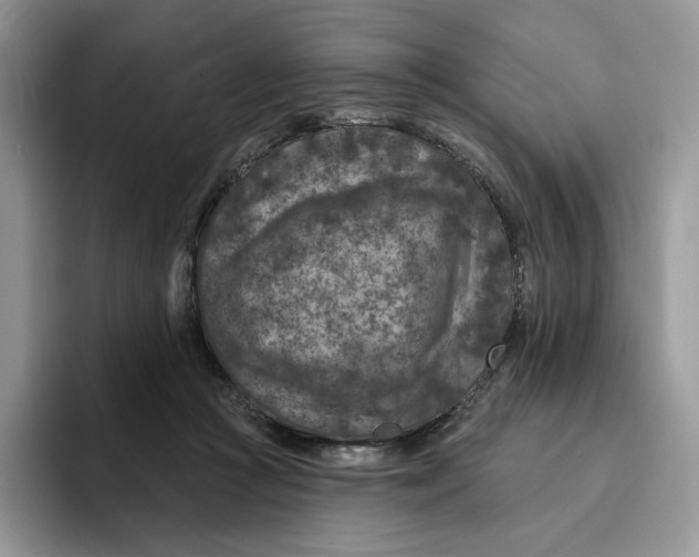 X0000095960361200802011126