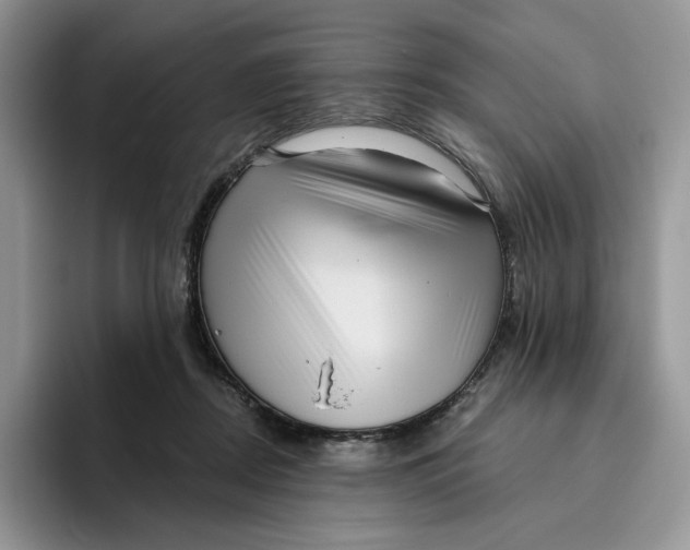 X0000095960362200802011126